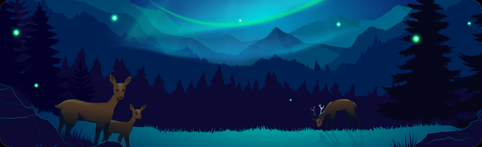 Essential Wilderness